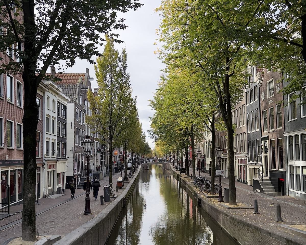 Gracht op de Wallen met bomen en grachtenpanden